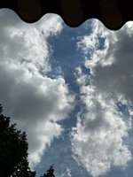 klein_ - 22 (29).jpeg