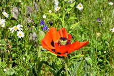 DSC_0034-EDIT.jpg