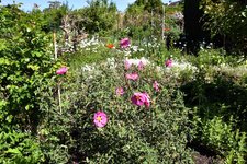 DSC_0017.JPG