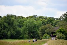 DSC_0174.JPG