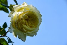 DSC_0011-EDIT.jpg