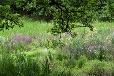 DSC_0087.JPG