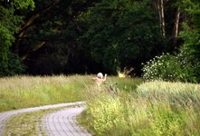 DSC_0149 (1).JPG DSC_0149 (1).JPG