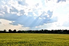 DSC_0137-EDIT-EDIT.jpg