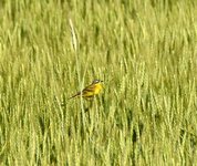 DSC_0128-EDIT.jpg