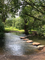 IMG_7656.JPG