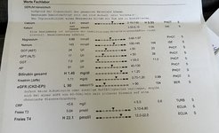IMG_1052.jpeg