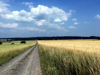 IMG_7677.JPG