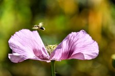 DSC_0070-EDIT.jpg