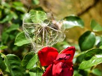 DSC_0071-EDIT.jpg