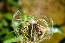 DSC_0060-EDIT.jpg