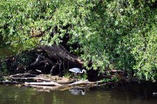 DSC_0009.JPG DSC_0009.JPG