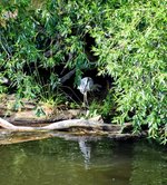 DSC_0055-EDIT.jpg