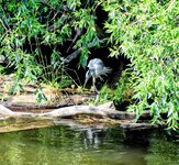 DSC_0041-EDIT-EDIT.jpg
