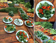bgarten_2507.jpg