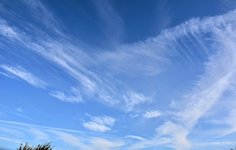 DSC_0022-EDIT.jpg