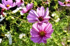 DSC_0074-EDIT.jpg