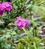 DSC_0018-EDIT.jpg