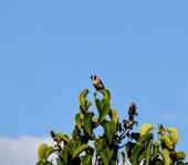 DSC_0059-EDIT.jpg