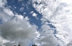 DSC_0016.JPG