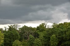 DSC_0001.JPG