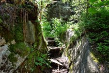 DSC_0328.JPG