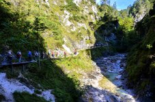 DSC_0151-EDIT.jpg