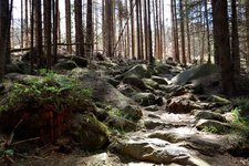 DSC_0047.JPG