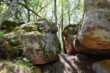 DSC_0354.JPG