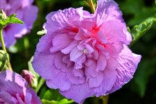 DSC_0121-EDIT.jpg
