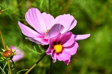 DSC_0174-EDIT.jpg