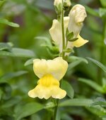 DSC_0139-EDIT.jpg