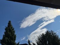 klein_ - 16 (63).jpeg
