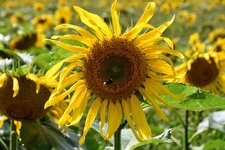 DSC_0018.JPG
