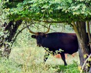 DSC_0250-EDIT-EDIT.jpg