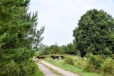 DSC_0220-EDIT.jpg