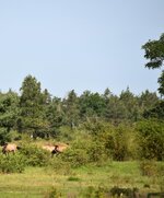 DSC_0133.JPG DSC_0133.JPG