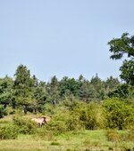 DSC_0136-EDIT.jpg DSC_0136-EDIT.jpg