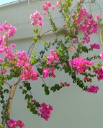 IMG-20250810-WA0001.jpg