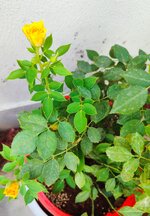 IMG-20250810-WA0000.jpg