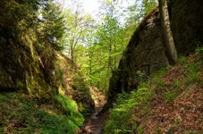 DSC_0111.JPG