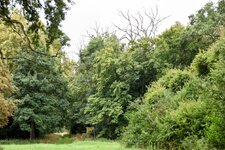 DSC_0201-EDIT.jpg