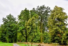 DSC_0092-EDIT-EDIT.jpg