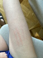 IMG_5798.jpeg