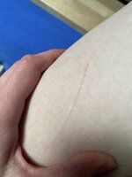 IMG_0176.jpeg