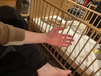 IMG_1393.jpeg