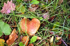 DSC_0019.JPG