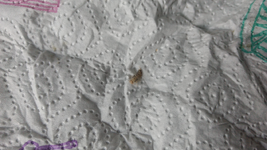 IMG_20250906_100016341 redu.png