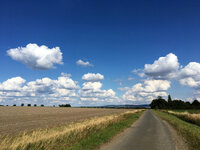 IMG_7938.JPG