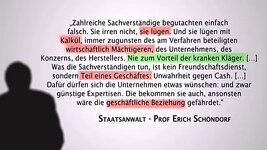 vlcsnap-00031 über Sachverständige - sie lügen.jpg